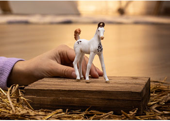 Schleich - Marwari Foal - Modern Brands Australia