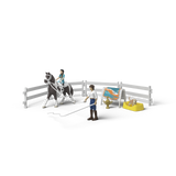 sc42799.jpg