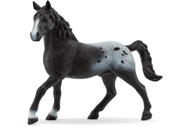 Schleich - Knappstrupper Stallion Ltd ed - Modern Brands Australia