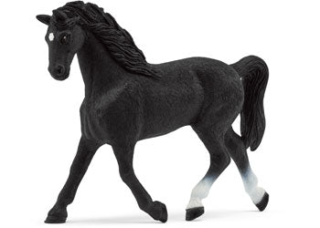 Schleich - Holstein Mare Ltd ed - Modern Brands Australia