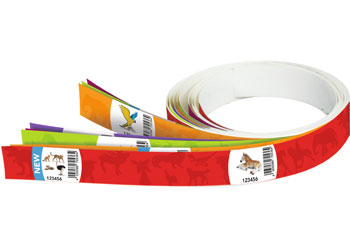 Schleich - Shelf Strips Blue (Dinosaurs) PK10 - Modern Brands Australia