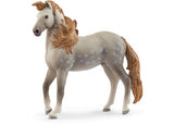 Schleich - Andalusian Stallion 2025 Release - Modern Brands Australia
