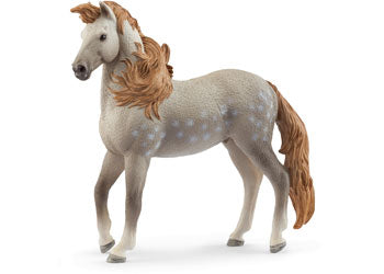Schleich - Andalusian Stallion 2025 Release - Modern Brands Australia