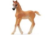 Schleich - Arab foal - Modern Brands Australia