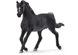 Schleich - Arab Stallion - Modern Brands Australia