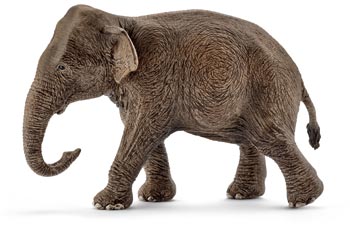 Schleich - Asian Elephant Female - Modern Brands Australia