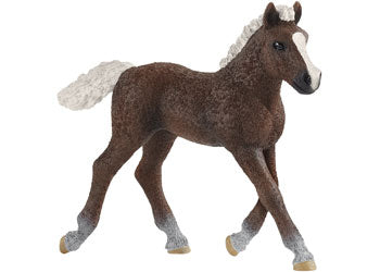 Schleich - Black Forest Foal - Modern Brands Australia