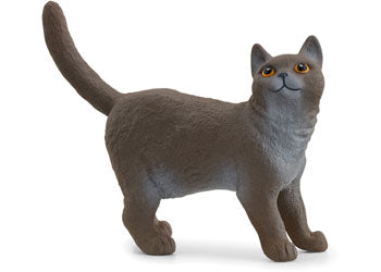 Schleich - British Shorthair Cat - Modern Brands Australia