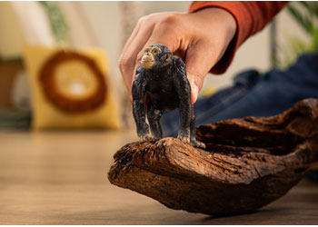 Schleich - Chimpanzee 2025 Release - Modern Brands Australia
