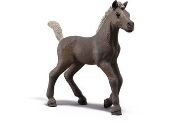 Schleich - Collectible Foal Darcy - Modern Brands Australia