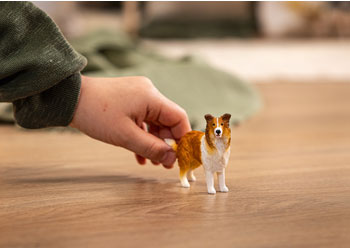 Schleich - Collie 2025 Release - Modern Brands Australia
