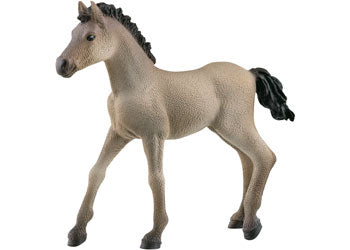 Schleich - Criollo Definitivo Foal - Modern Brands Australia