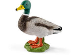 Schleich - Drake - Modern Brands Australia
