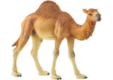 Schleich - Dromedary - Modern Brands Australia