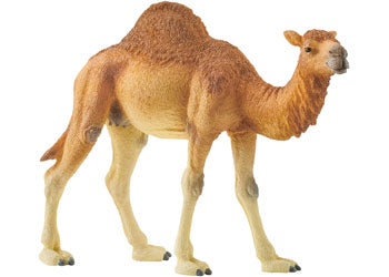 Schleich - Dromedary - Modern Brands Australia