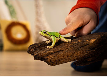 Schleich - European Tree Frog - Modern Brands Australia