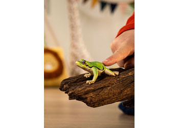 Schleich - European Tree Frog - Modern Brands Australia