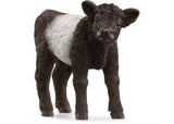 Schleich - Galloway Calf - Modern Brands Australia