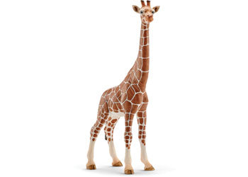 Schleich - Giraffe Female - Modern Brands Australia