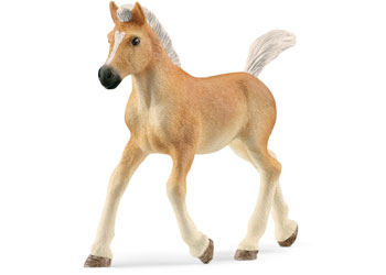 Schleich - Haflinger Foal - Modern Brands Australia