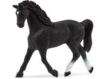 Schleich - Holstein Mare Ltd ed - Modern Brands Australia