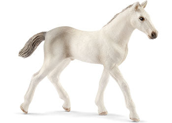 Schleich - Holsteiner Foal - Modern Brands Australia