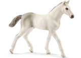 Schleich - Holsteiner Foal - Modern Brands Australia