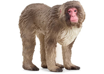 Schleich - Japanese Macaque - Modern Brands Australia