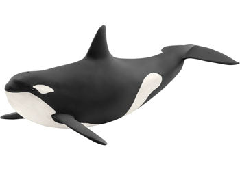 Schleich - Killer Whale - Modern Brands Australia