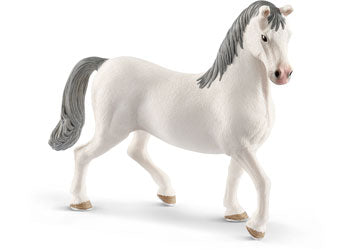Schleich - Lipizzaner stallion - Modern Brands Australia
