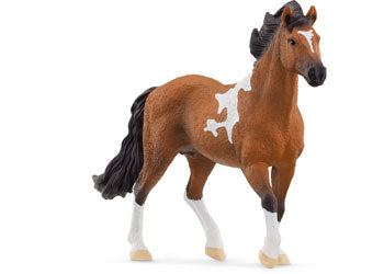 Schleich - Mangalarga Marchador Stallion - Modern Brands Australia