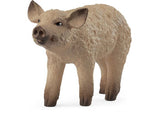 Schleich - Mangalica Piglet - Modern Brands Australia