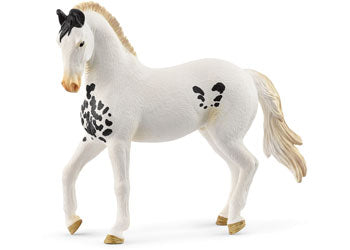 Schleich - Marwari Stallion - Modern Brands Australia
