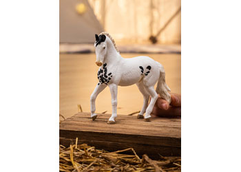 Schleich - Marwari Stallion - Modern Brands Australia