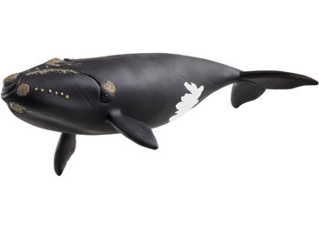 Schleich - North Atlantic Right Whale - Modern Brands Australia