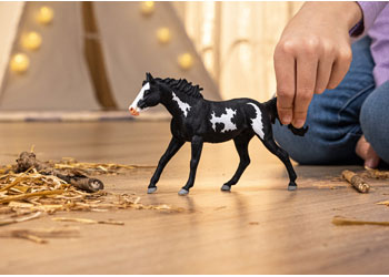 Schleich - Paint Horse Gelding 2025 Release - Modern Brands Australia
