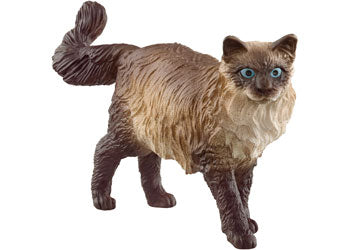Schleich - Ragdoll Cat - Modern Brands Australia