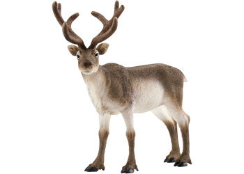 Schleich - Reindeer - Modern Brands Australia