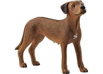 Schleich - Rhodesian Ridgeback - Modern Brands Australia
