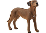 Schleich - Rhodesian Ridgeback - Modern Brands Australia