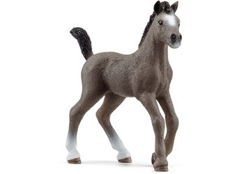 Schleich - Selle Francais Foal - Modern Brands Australia