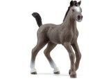 Schleich - Selle Francais Foal - Modern Brands Australia