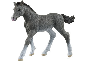 Schleich - Trakehner Foal - Modern Brands Australia