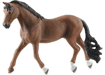 Schleich - Trakehner Gelding - Modern Brands Australia