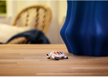 Schleich - Turtle 90 years Limited edition - Modern Brands Australia