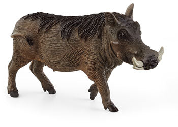 Schleich - Warthog - Modern Brands Australia