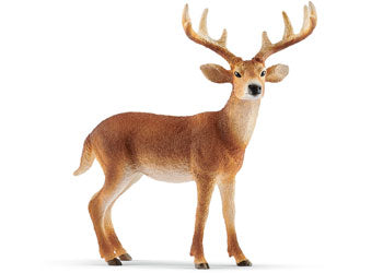 Schleich - White-Tailed Buck - Modern Brands Australia
