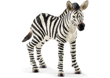 Schleich - Zebra Foal - Modern Brands Australia