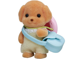 SF - Toy Poodle Baby - Modern Brands Australia