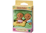 SF - Toy Poodle Twins - Modern Brands Australia